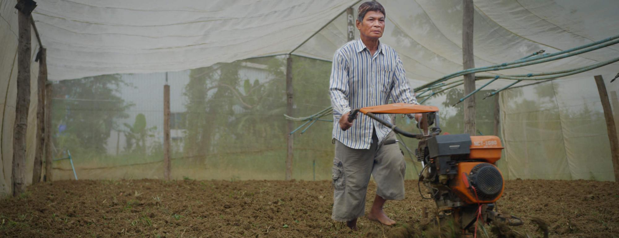 cambodian farmer working in field
