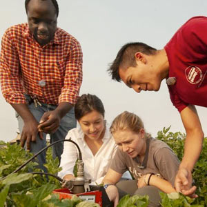 several students and a UC Davis professor examine a crop on the uc davis campus