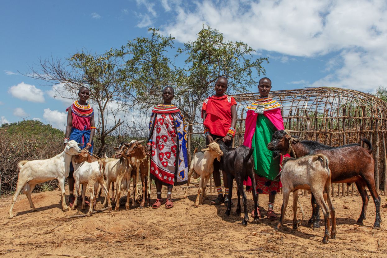 Four women in a pastoralist community in Samburu, Kenya, stand with several goats.