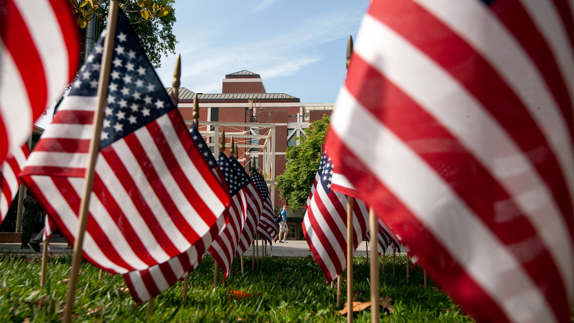 Rows of American flags arranged outside the Memorial Union.