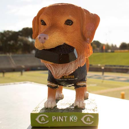 Pint bobblehead