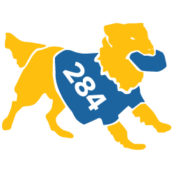 Dog with "284," blue and gold