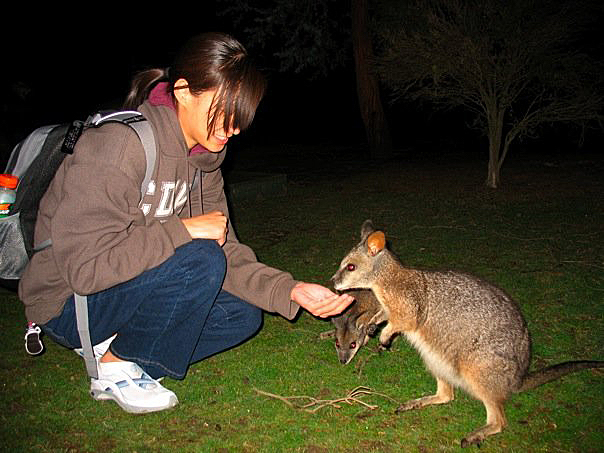 Vickie Chaimanont holds her hand up to a wallaby. 