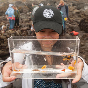 A female student investigates specimens from a tide pool