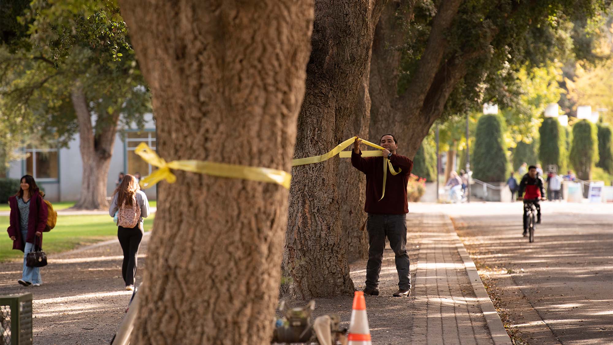 Man ties yellow ribbons on trees.