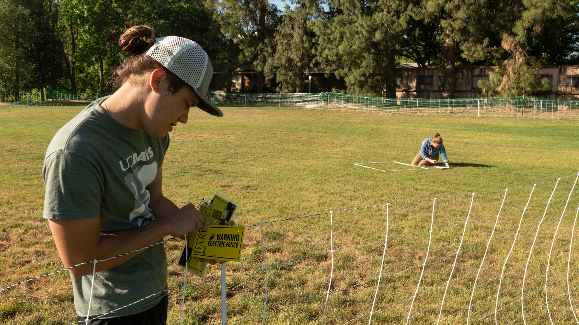 Student hangs "electric fence" sign while faculty member measures grass.