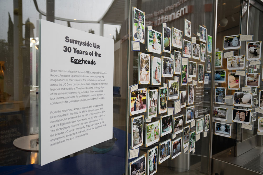 Signage for Egghead exhibit and photos on window in display