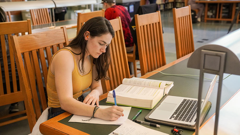 student studies in the library