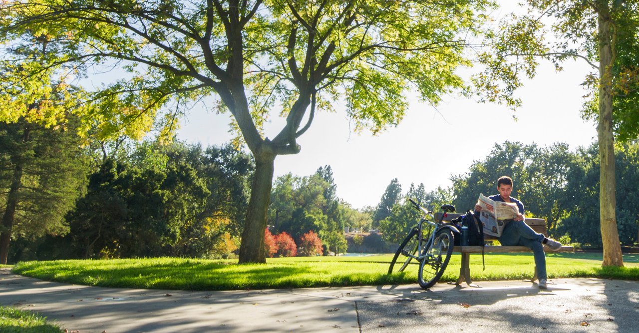 A student reads on a bench by a bike. 