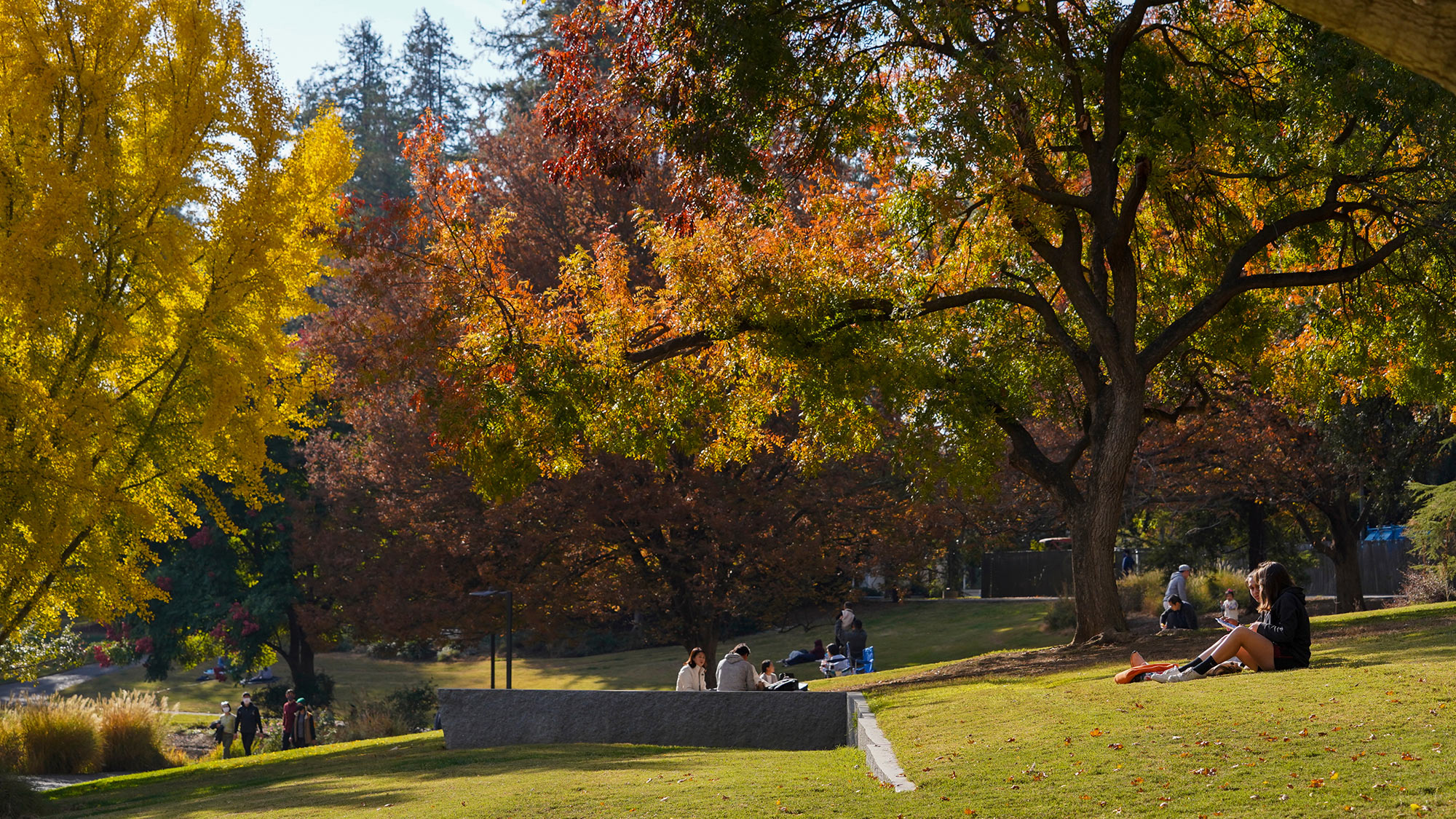 student relax on grassy hill