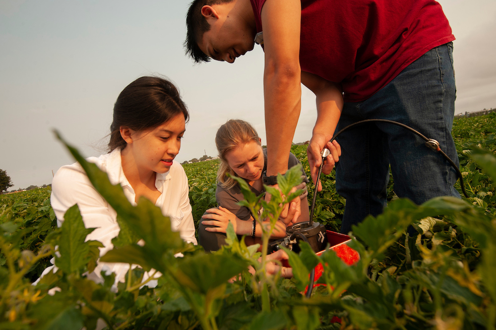Three students stand in a field and work on the ground. 