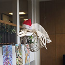 A whale skeleton wearing a Santa hat.