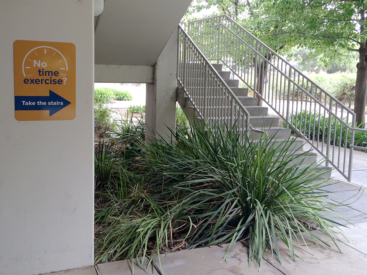 A sign next to a stairway reads "No time for exercise? Take the stairs."