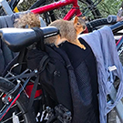 A squirrel sitting on a bike.