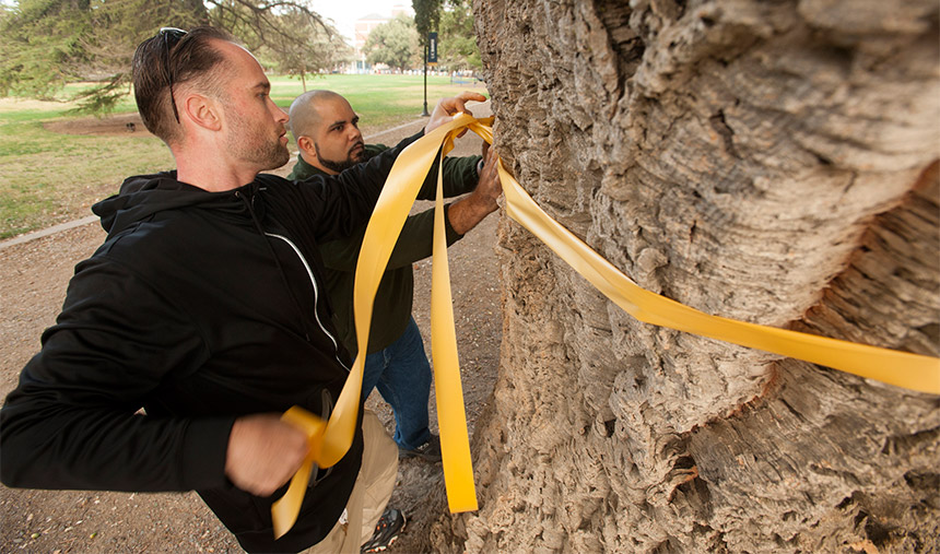 Two men tie a ribbon around a tree.