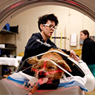 A dog receives a CT scan