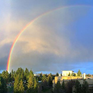 Rainbow over UC Davis