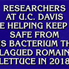 A Jeopardy clue featuring UC Davis