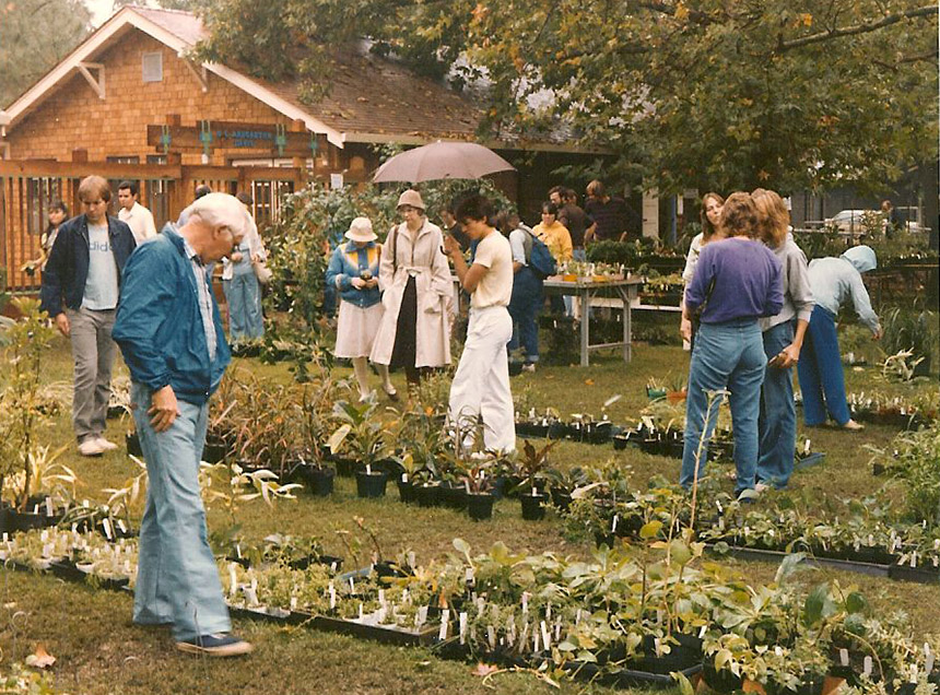 Shoppers at a plant sale in 1982.