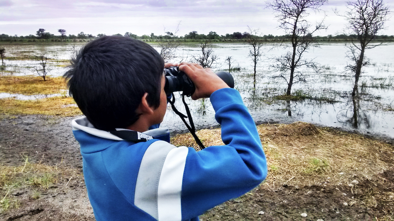 Boy with binoculars looks across wetlands for birds