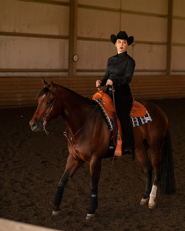 Western-style rider on horse.
