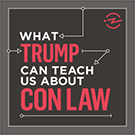 Logo for What Trump Can Teach Us About Con Law 