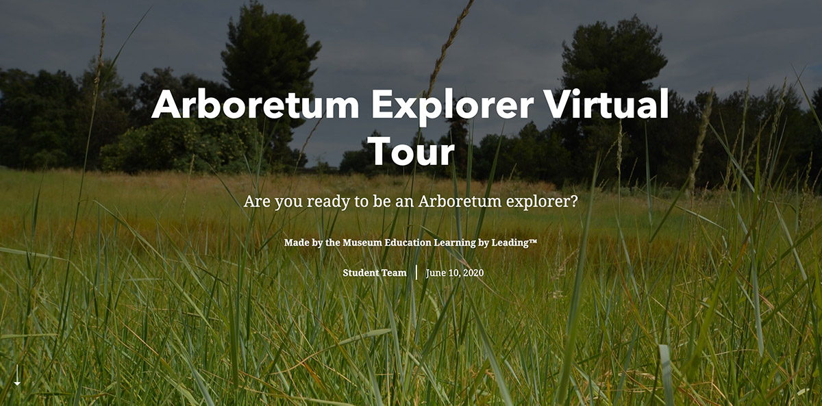 Title page for online tour, with writing atop a field of grass with trees on horizon.
