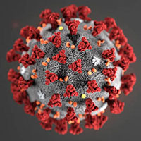 Novel Coronavirus molecular structure