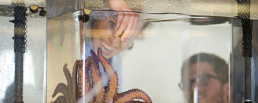 A student touches a sea star in a tank