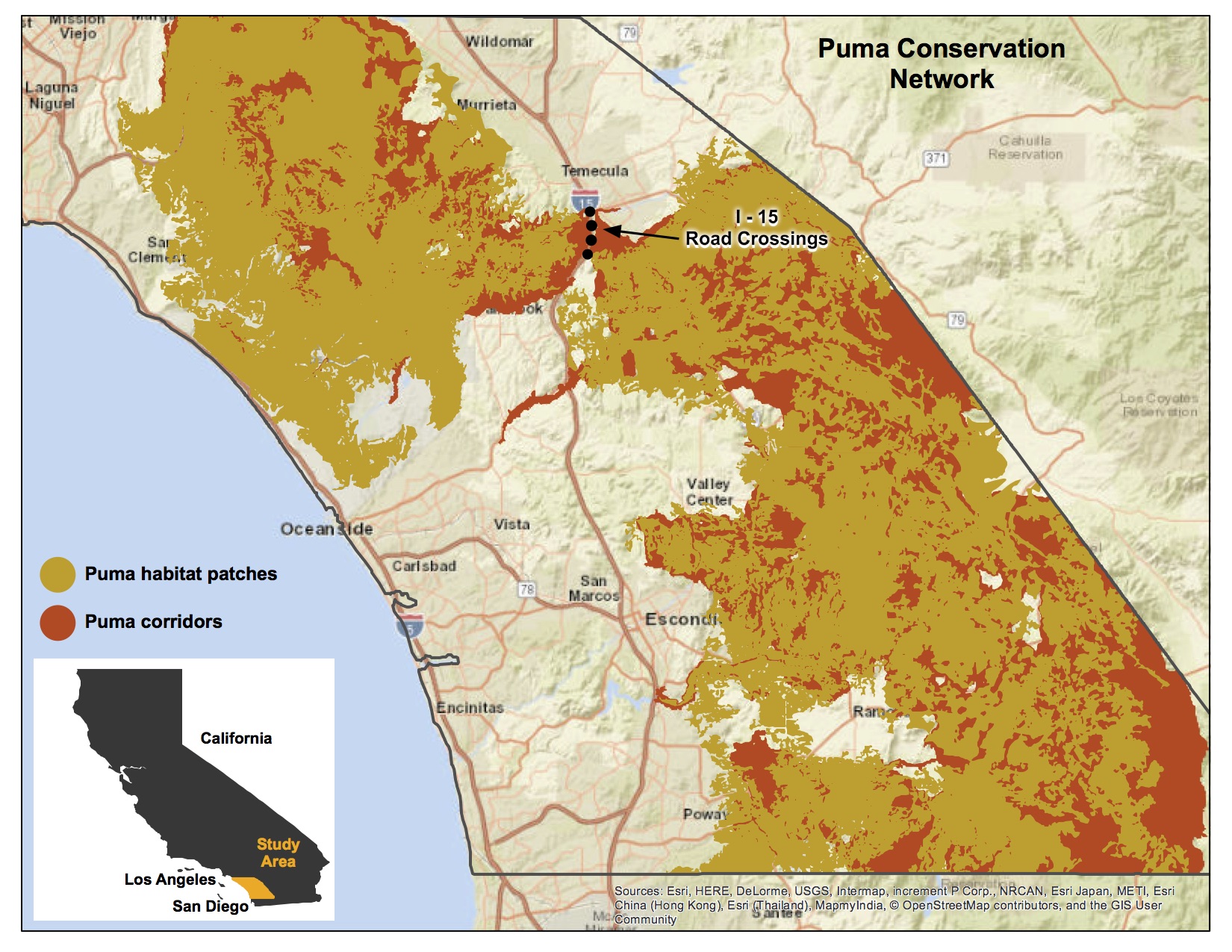 Puma conservation network