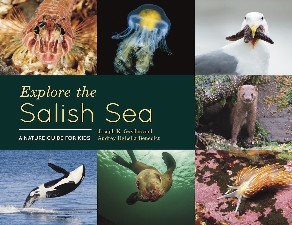 Salish Sea book