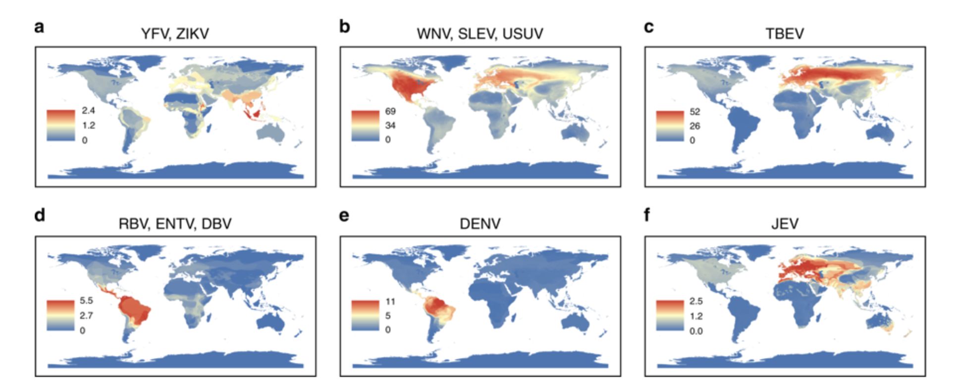 Global maps of emerging flaviviruses