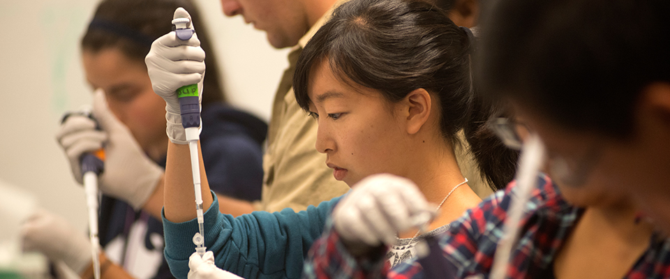 Rino Oguchi, a Global Disease Biology major, uses a pipette to extract a DNA sample during a plant pathology class.