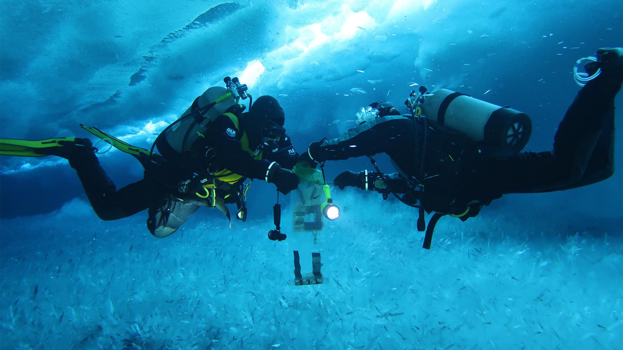 Two scuba divers underwater doing climate research in the ocean for UC Davis