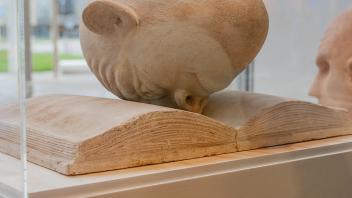 Alt-Tag: The original Bookhead model sits inside a glass display case in the Manetti Shrem Museum.