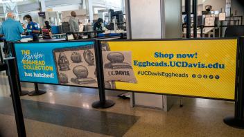 A blue and yellow line divider promotes the Arneson Egghead Collection at the Sacramento Airport.