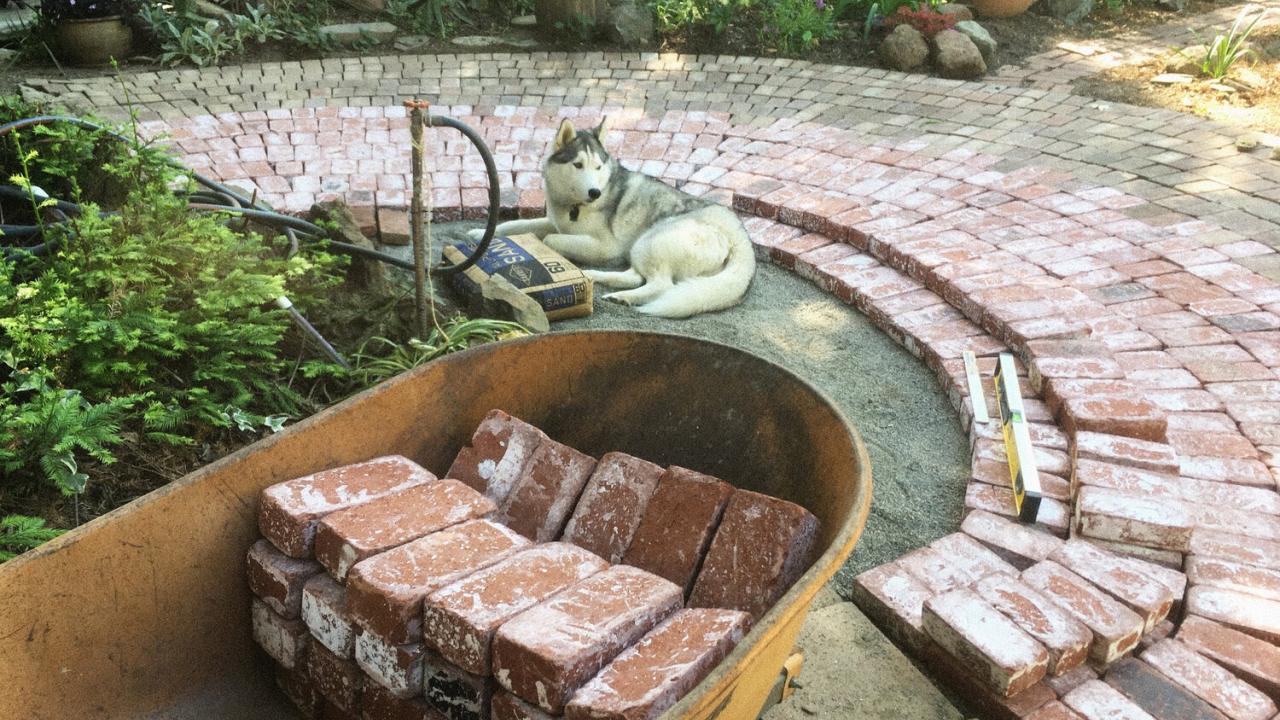 Brick patio and dog