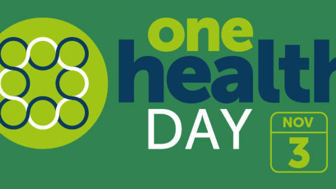 Graphic showing international One Health Day on Nov. 3