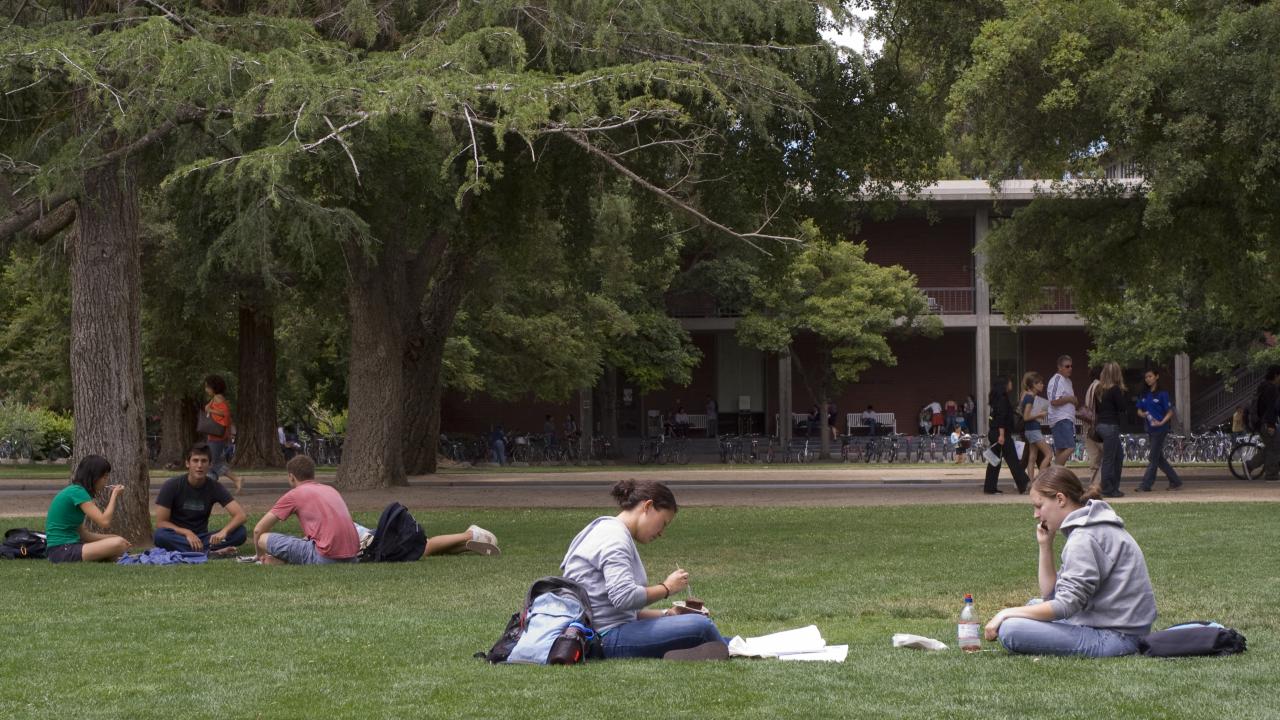 Summer Strategy More Courses, More Enrollment UC Davis