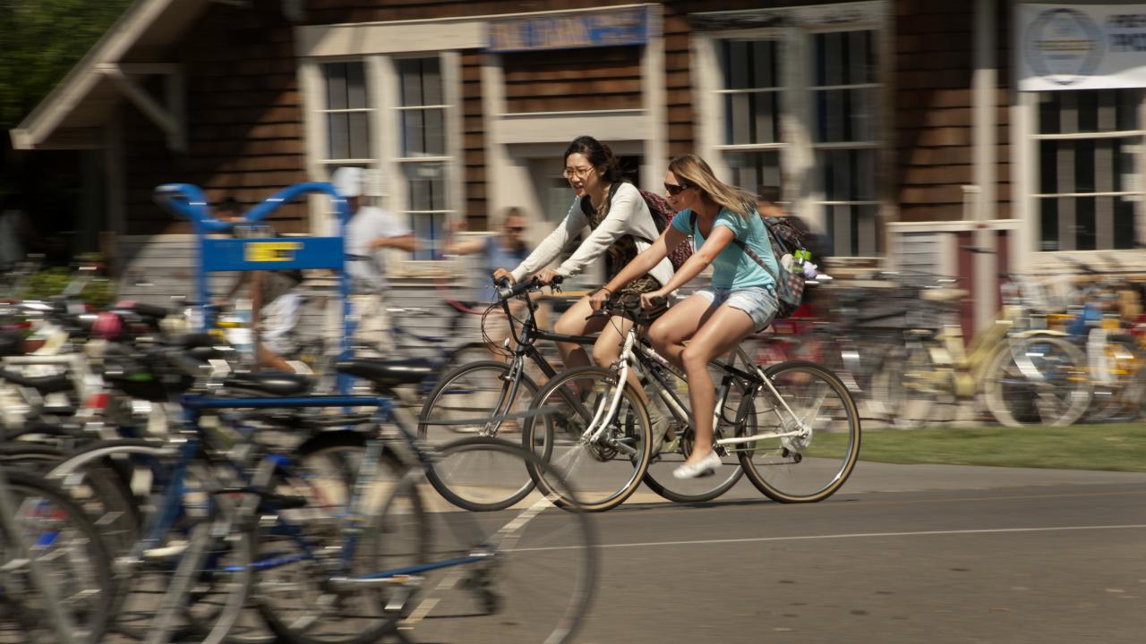 Cyclists at UC Davis