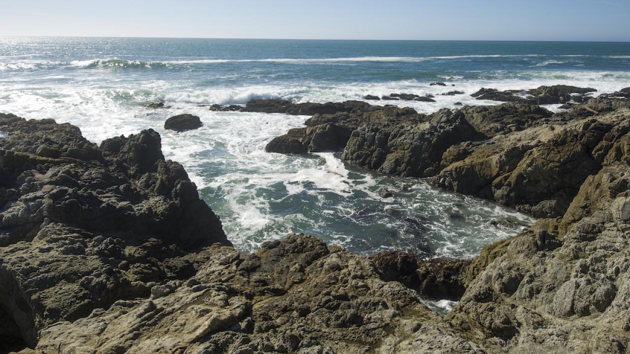 Rocky shore off Bodega Bay, California with view of Pacific Ocean
