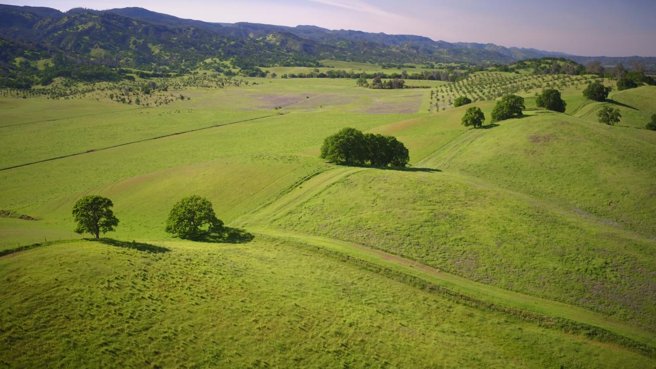 Aerial view of rangelands in Northern California