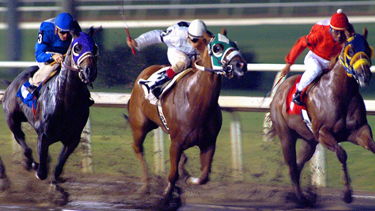 Three racehorses with their jockeys race on a muddy track