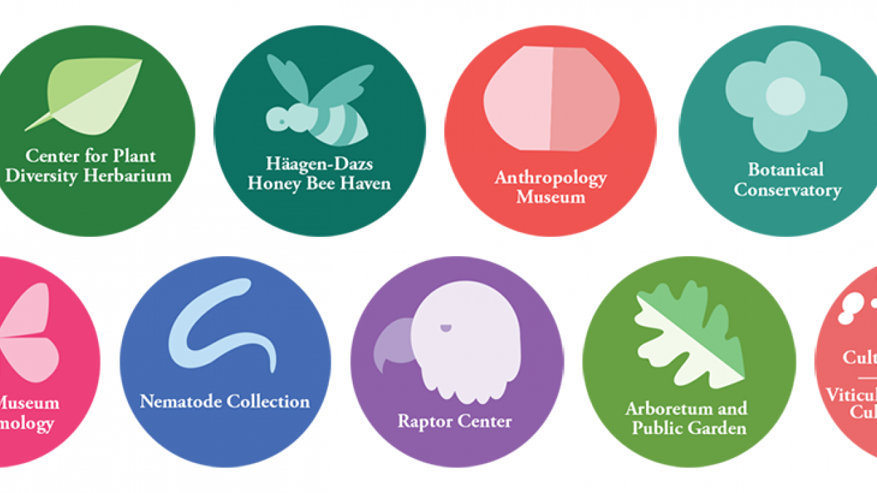 Logos of the 12 museums participating in Biodiversity Museum Day.