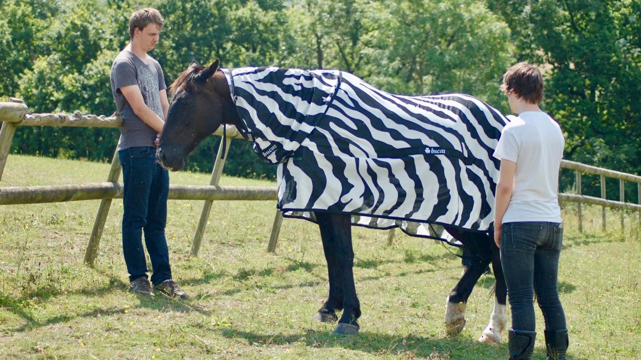 Two people with horse in zebra-striped blanket in Britain.