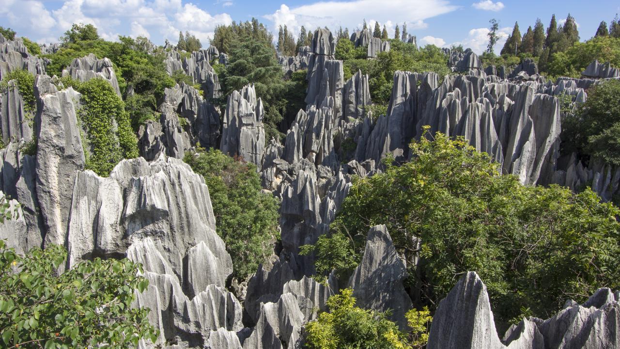 Stone forest national park in Yunnan province