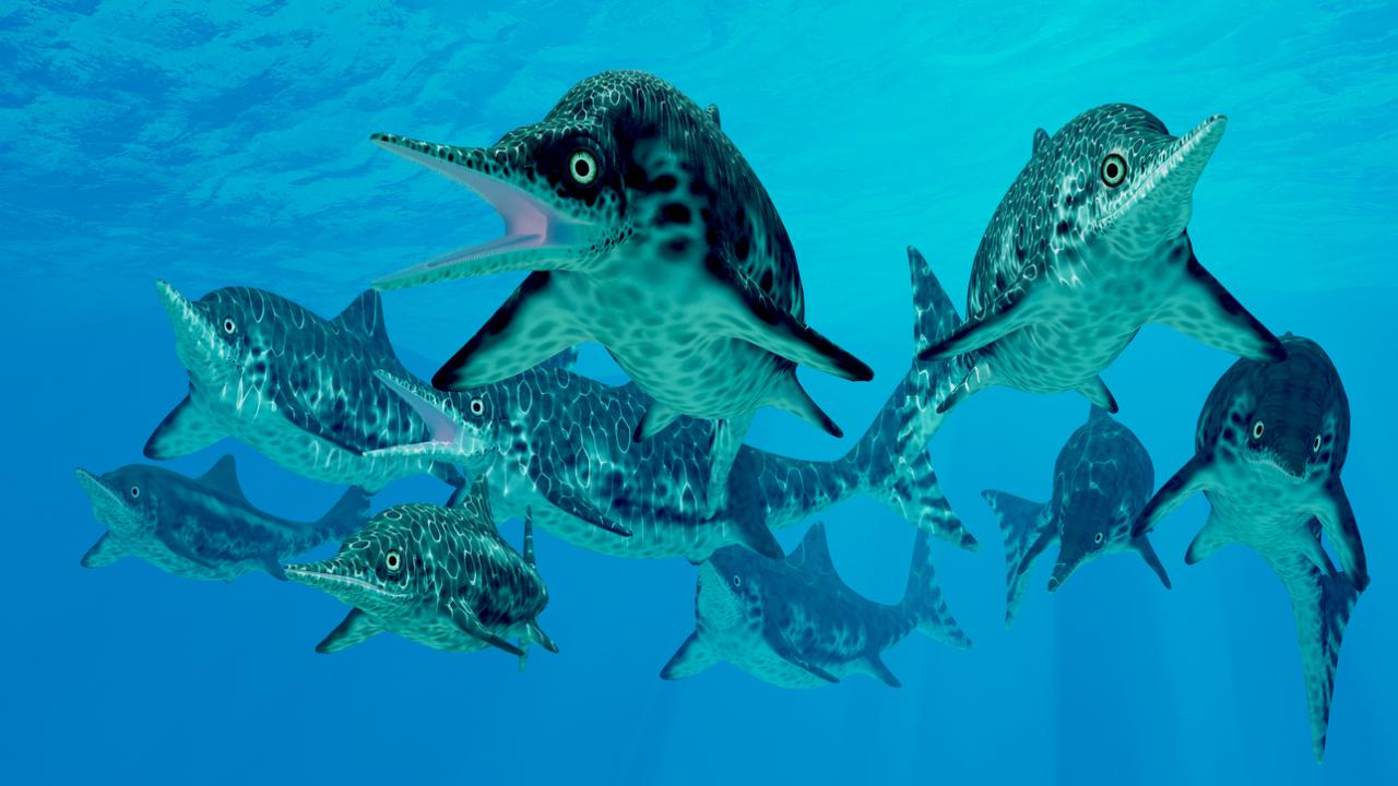Ichthyosaurs and other marine reptiles invaded the oceans after the Permian mass extinction. (Cory Ford/Getty Images)