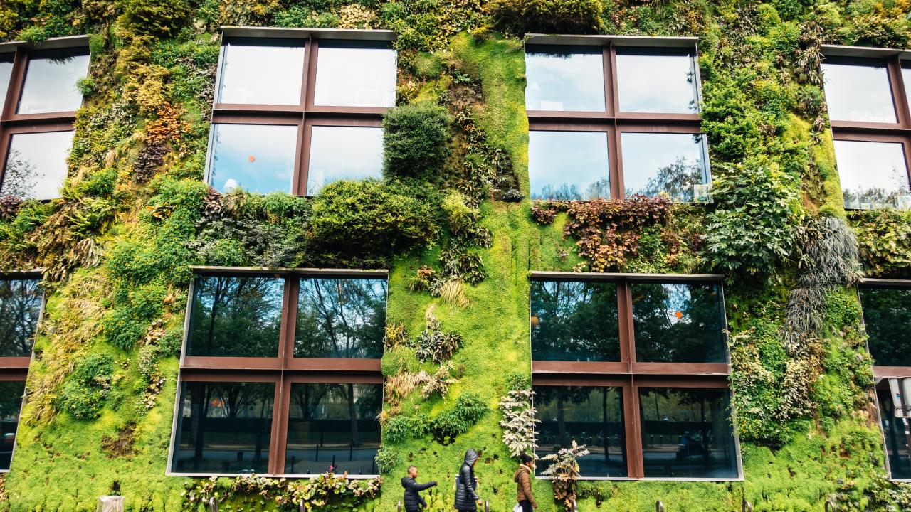 Plants grow on sustainable building