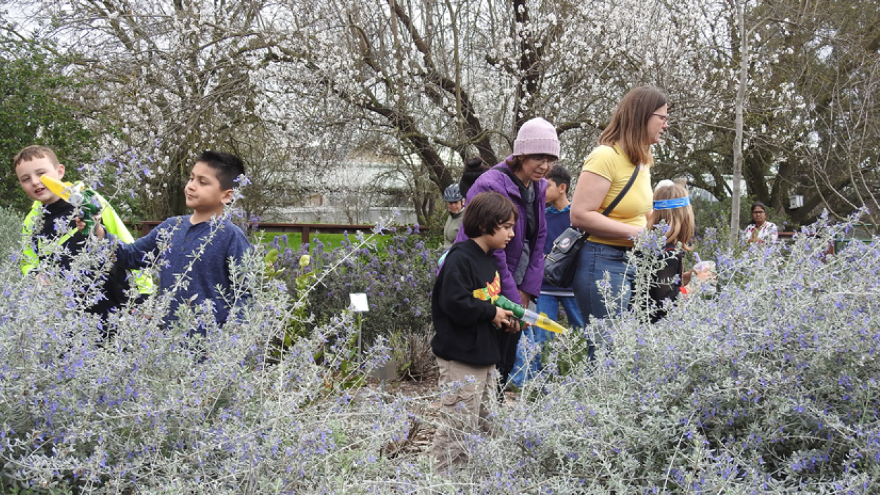 Children and adults go bee-hunting at Honey Bee Haven, 2017