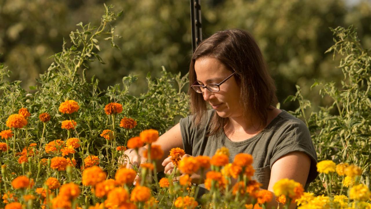 Katharina Ullmann amid flowers at Student Farm